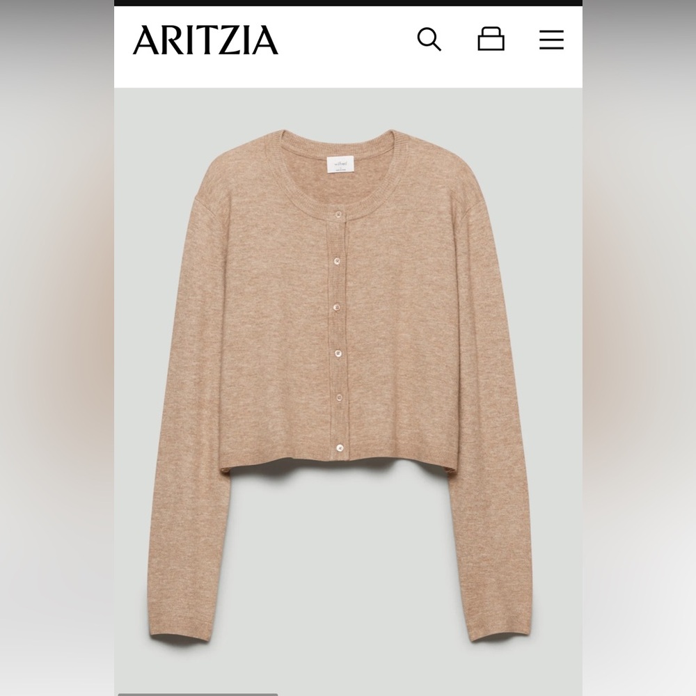 Aritizia (wilfred) set (tank and sweater)